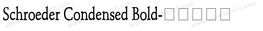 Schroeder Condensed Bold字体转换